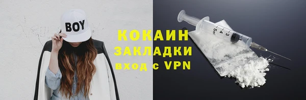 мдпв Няндома
