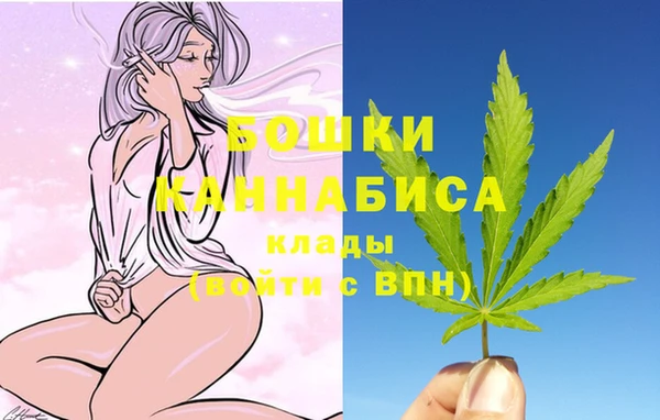 гидра Осинники