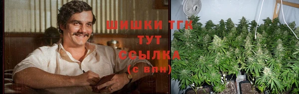 гидра Осинники