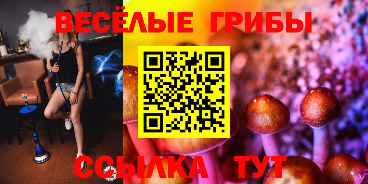Псилоцибиновые грибы Cubensis Реж