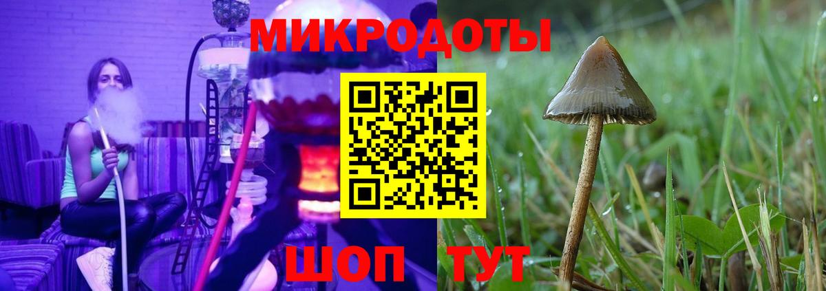 Галлюциногенные грибы GOLDEN TEACHER  Вход с VPN  Реж 